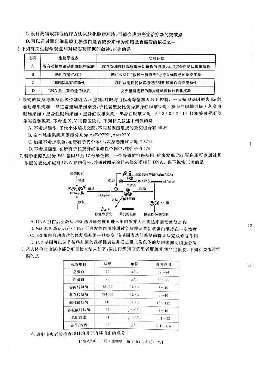 安徽省皖南八校2025届高三三联 生物试题（含答案）第2页