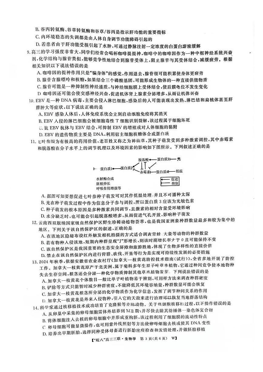 安徽省皖南八校2025届高三三联 生物试题（含答案）第3页