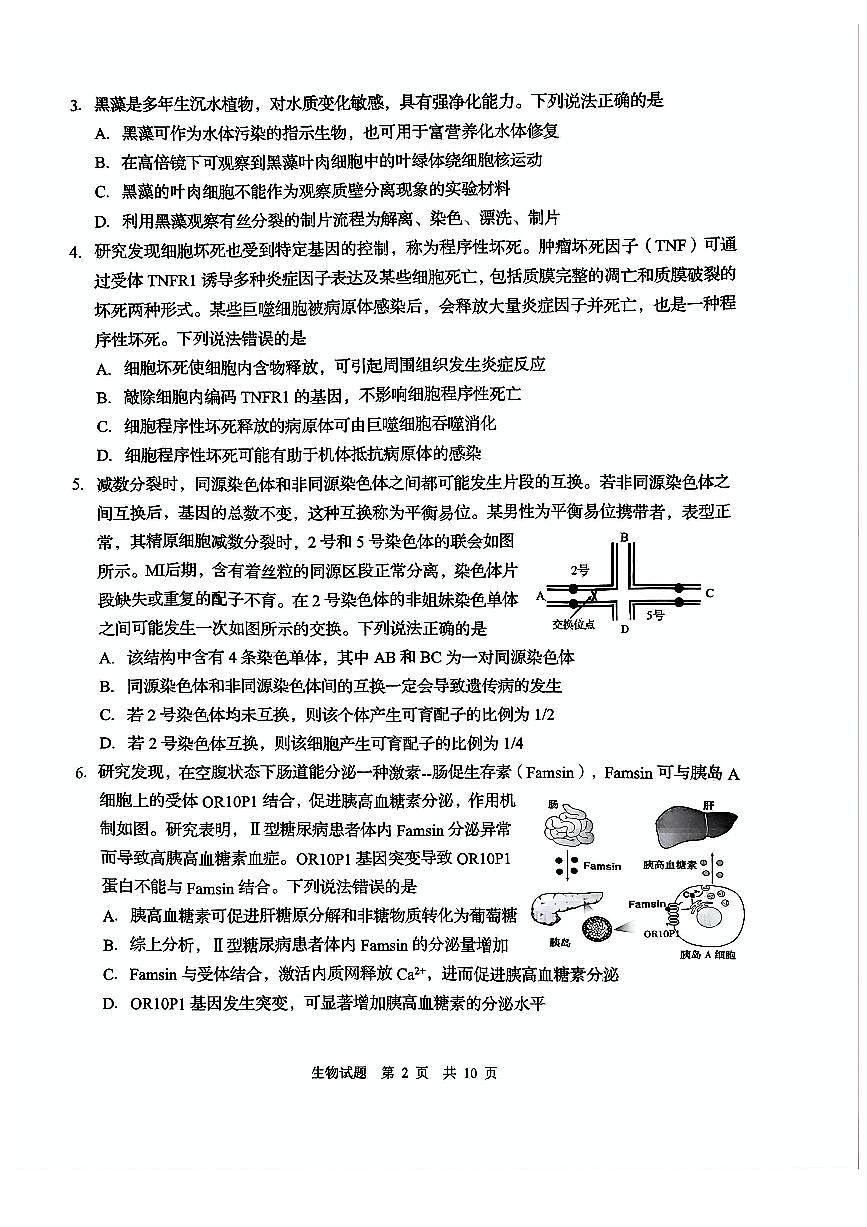 山东省青岛市、淄博市2025届高三下学期5月二模生物试卷（PDF版附答案）第2页