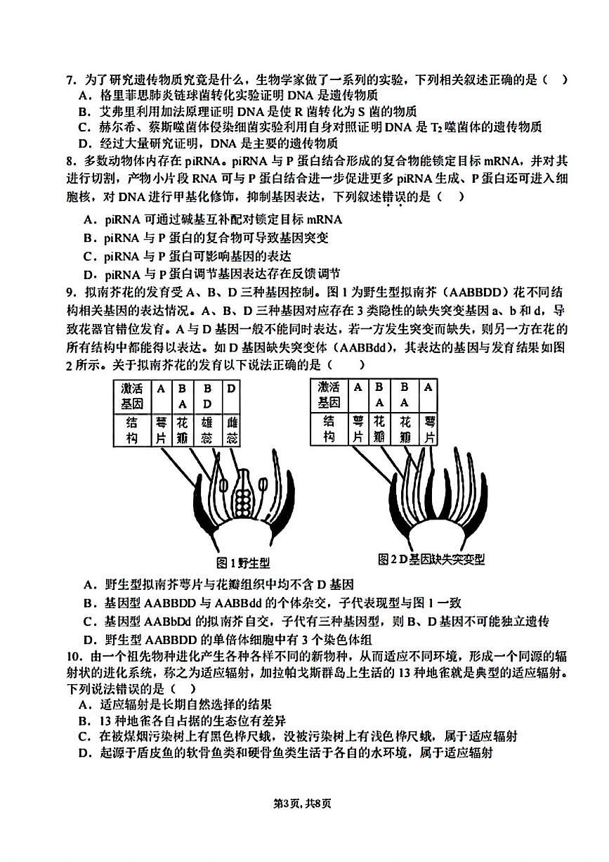 湖北省襄阳市第五中学2024-2025学年高三下学期5月一模生物试卷PDF版含答案第3页