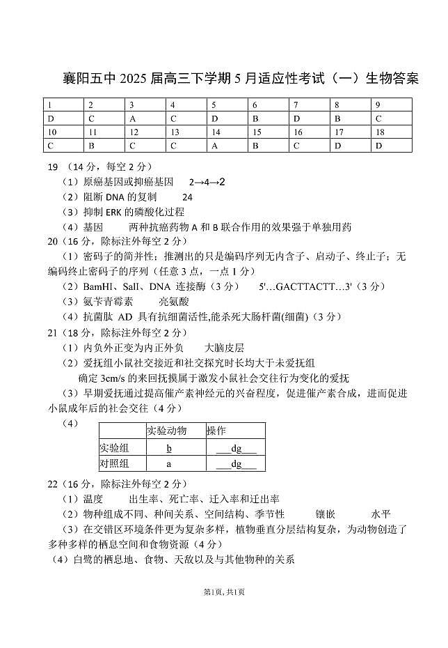 襄阳五中2025届高三下学期5月适应性考试（一）生物答案.pdf第1页