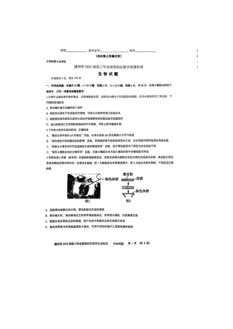福建省漳州市2025年5月高三第四次质检生物试卷含答案第1页