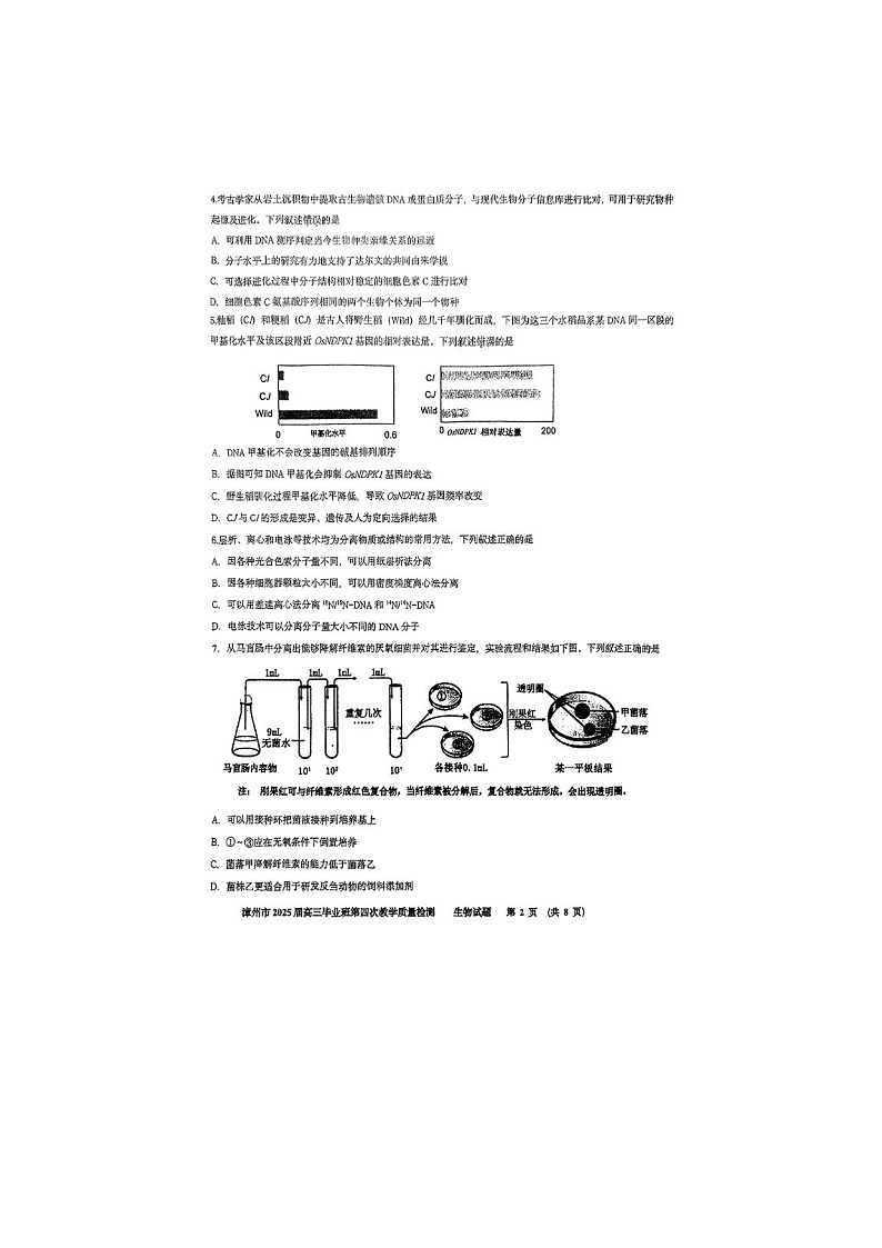 福建省漳州市2025年5月高三第四次质检生物试卷含答案第2页