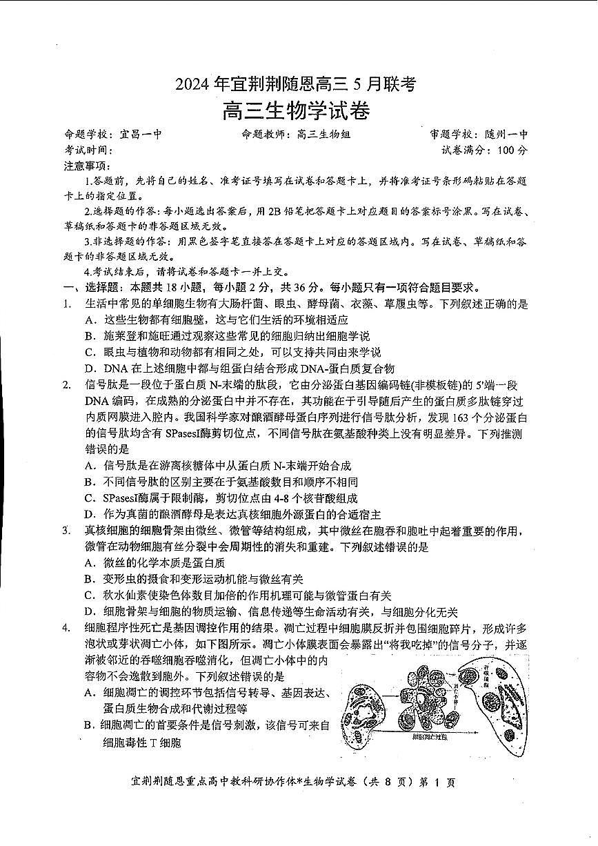 湖北省2024年宜荆荆随恩高三5月联考（二模）生物试题（含答案）第1页