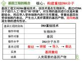 4.1《基因工程的原理和技術(shù)》課件浙科版高中生物選擇性必修三