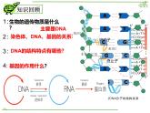 4.1《基因工程的原理和技術(shù)》課件浙科版高中生物選擇性必修三