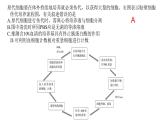2.2《動物細(xì)胞工程》課件 部編版高中生物選擇性必修三