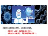 2.5《核酸》课件 人教版高中生物必修一