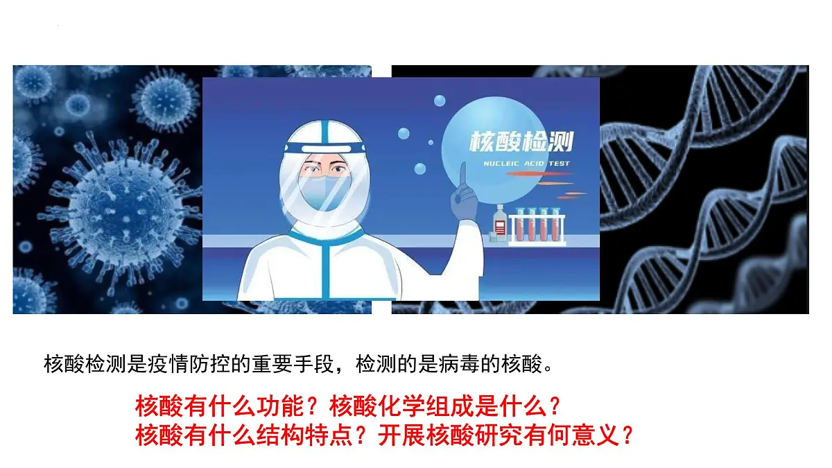 2.5《核酸》课件 人教版高中生物必修一第2页