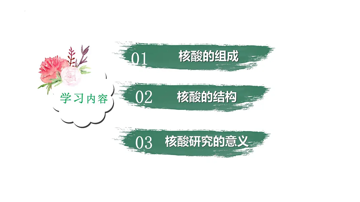 2.5《核酸》课件 人教版高中生物必修一第3页