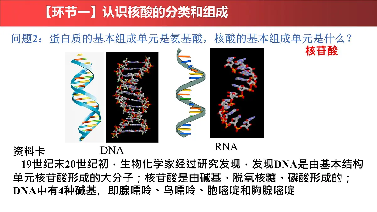 2.5《核酸》课件 人教版高中生物必修一第6页