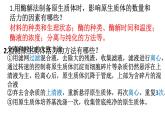2.2通過(guò)體細(xì)胞雜交可獲得新的植物體 課件 高中生物選擇性必修三