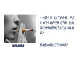 3.5《生物體存在表觀遺傳現(xiàn)象》課件 人教版高中生物選擇性必修2