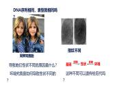 3.5《生物體存在表觀遺傳現(xiàn)象》課件 人教版高中生物選擇性必修2