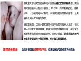 3.5《生物體存在表觀遺傳現(xiàn)象》課件 人教版高中生物選擇性必修2