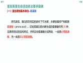 1.1《 細(xì)胞的分子組成-蛋白質(zhì)和核酸》課件 人教版高中生物選擇性必修一