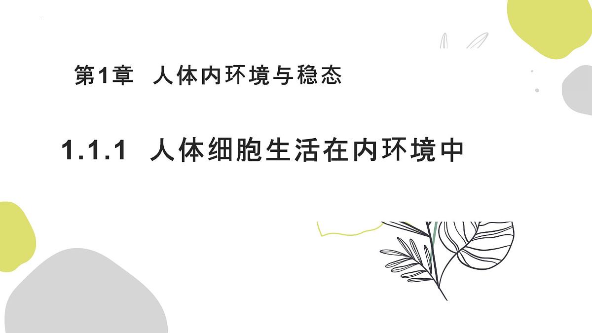 1.1《人体细胞生活在内环境中》课件 人教版高中生物选择性必修一第1页
