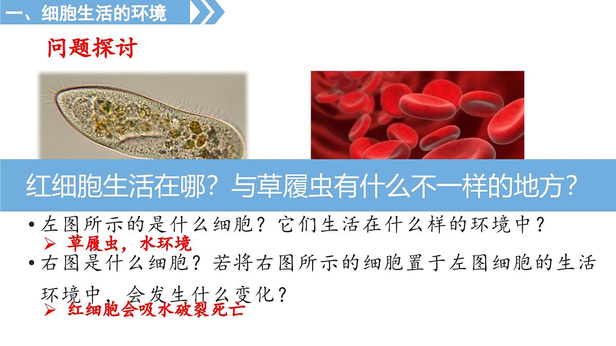 1.1《人体细胞生活在内环境中》课件 人教版高中生物选择性必修一第2页