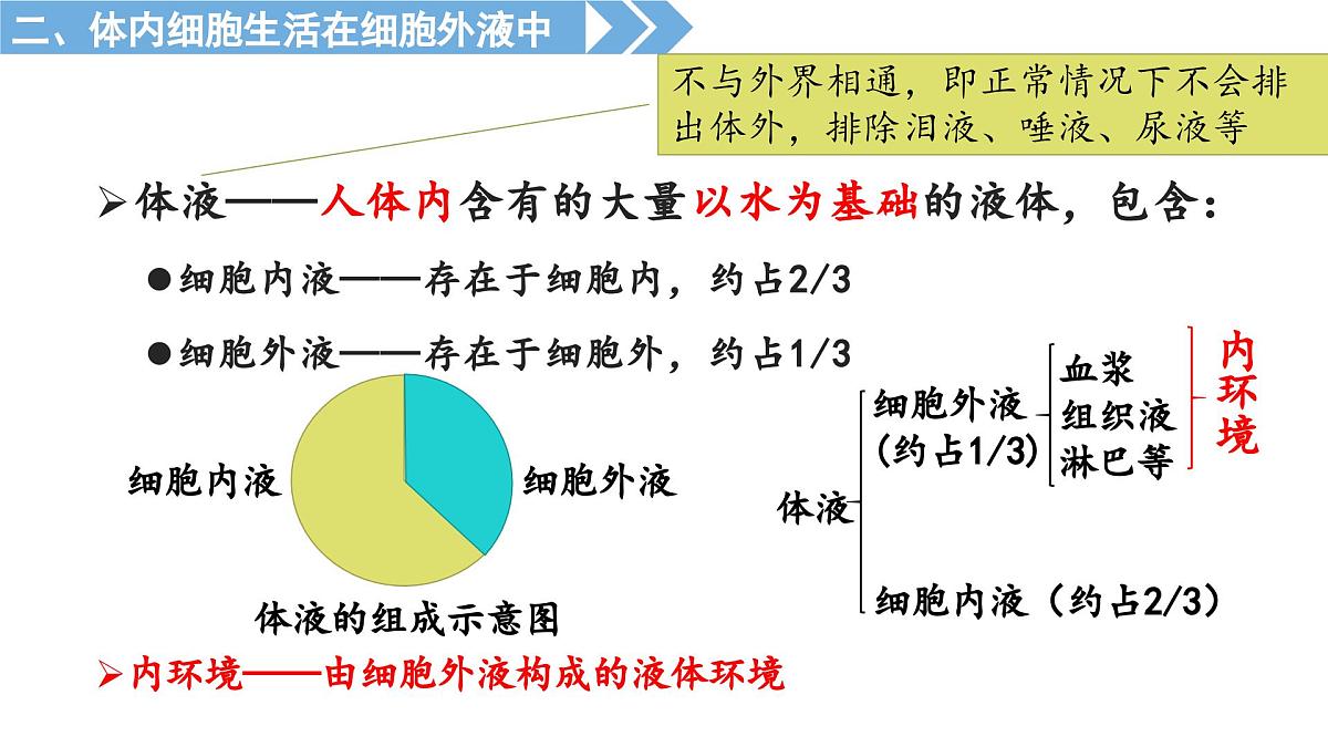1.1《人体细胞生活在内环境中》课件 人教版高中生物选择性必修一第4页