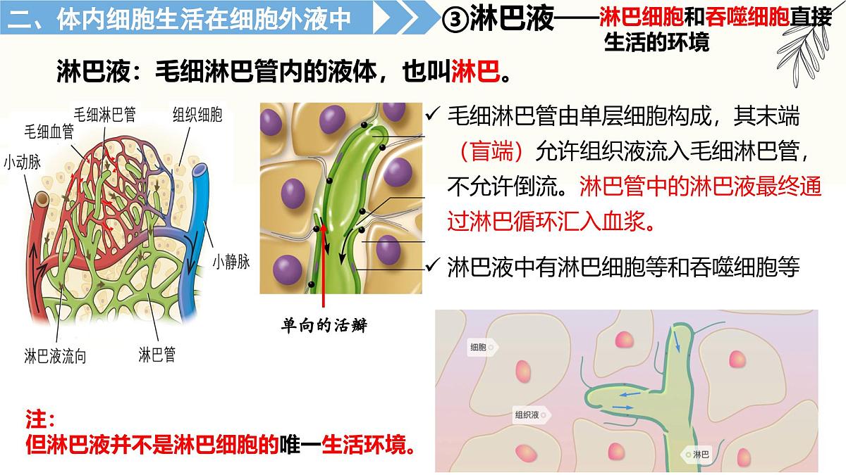 1.1《人体细胞生活在内环境中》课件 人教版高中生物选择性必修一第7页