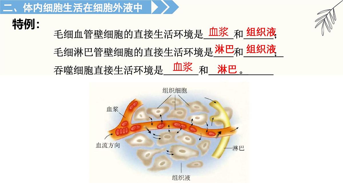 1.1《人体细胞生活在内环境中》课件 人教版高中生物选择性必修一第8页