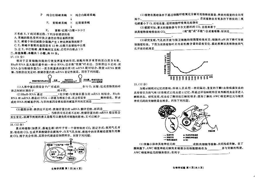 广东省衡水金卷2024届高三年级2月份大联考 生物试卷（含答案）第3页