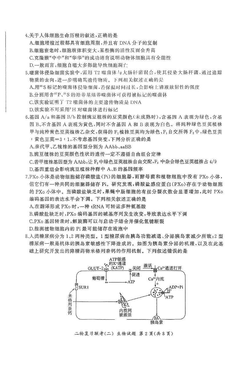 2025届河北省高三二轮复习联考（二）生物试卷第2页