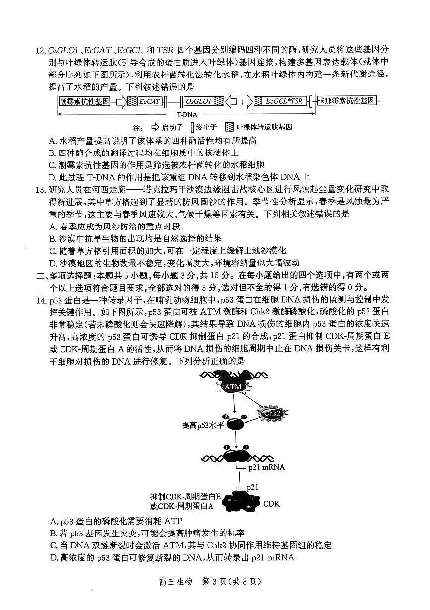 河北省邯郸市2025届高三下学期4月第四次调研监测试题 生物+答案第3页