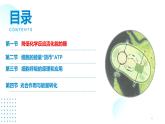 2024-2025人教版(2019)生物必修1《分子與細(xì)胞》課件PPT5細(xì)胞的能量供應(yīng)和利用-5.1降低化學(xué)反應(yīng)活化能的酶