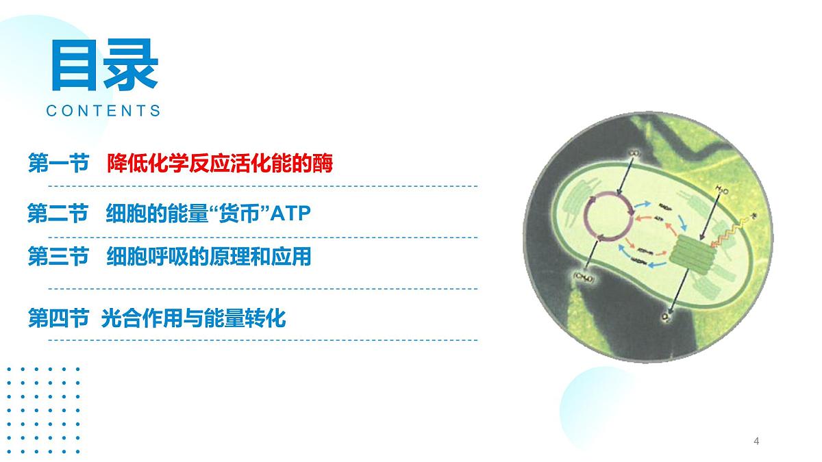 2024-2025人教版(2019)生物必修1《分子与细胞》课件PPT5细胞的能量供应和利用-5.1降低化学反应活化能的酶第4页