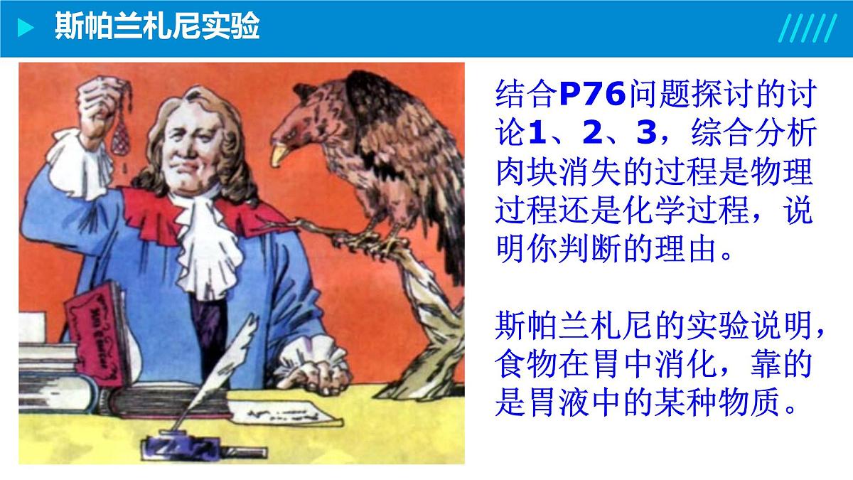 2024-2025人教版(2019)生物必修1《分子与细胞》课件PPT5细胞的能量供应和利用-5.1降低化学反应活化能的酶第7页