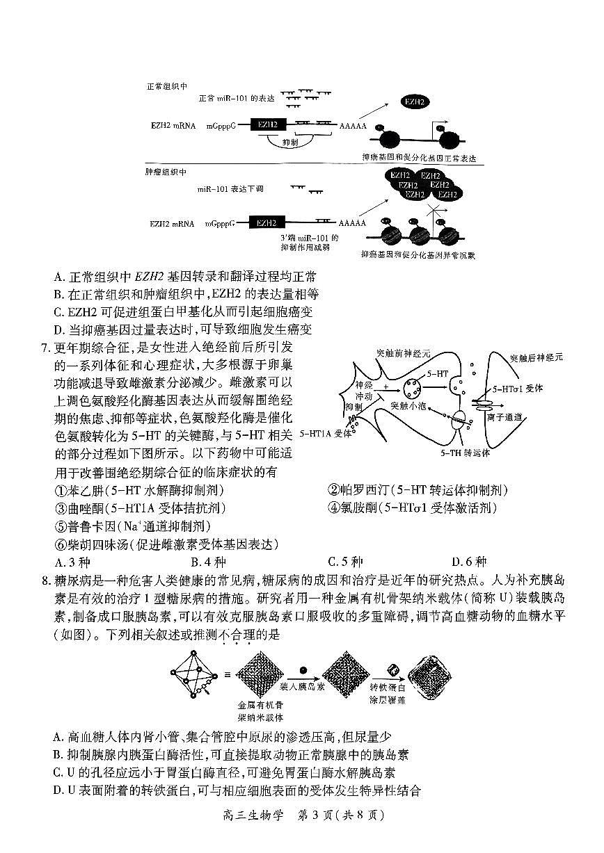 江西省上进联考2025届高三年级5月联合测评生物第3页
