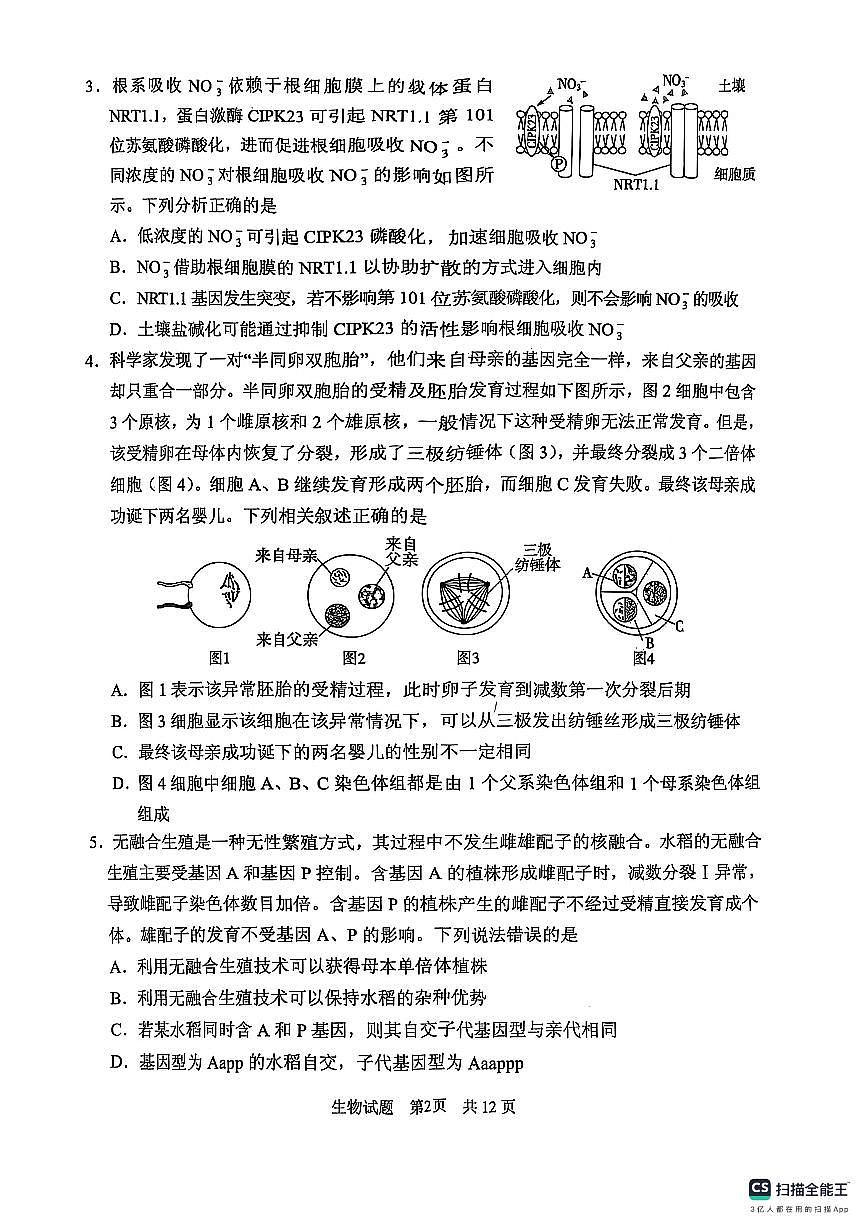 山东省实验中学2025届高三第一次模拟考试生物第2页