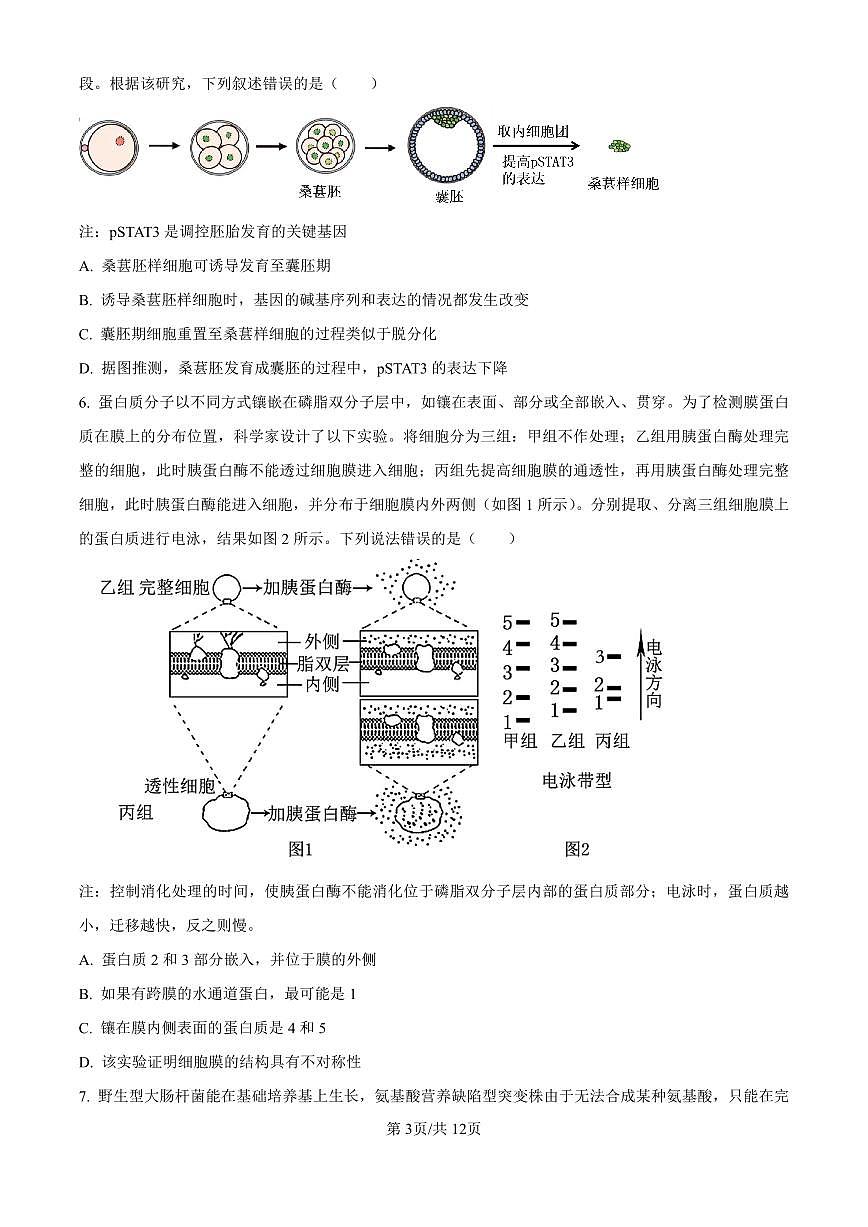 2025届广东省联考高三上学期10月第一次模拟（一模）生物试卷（含答案）第3页