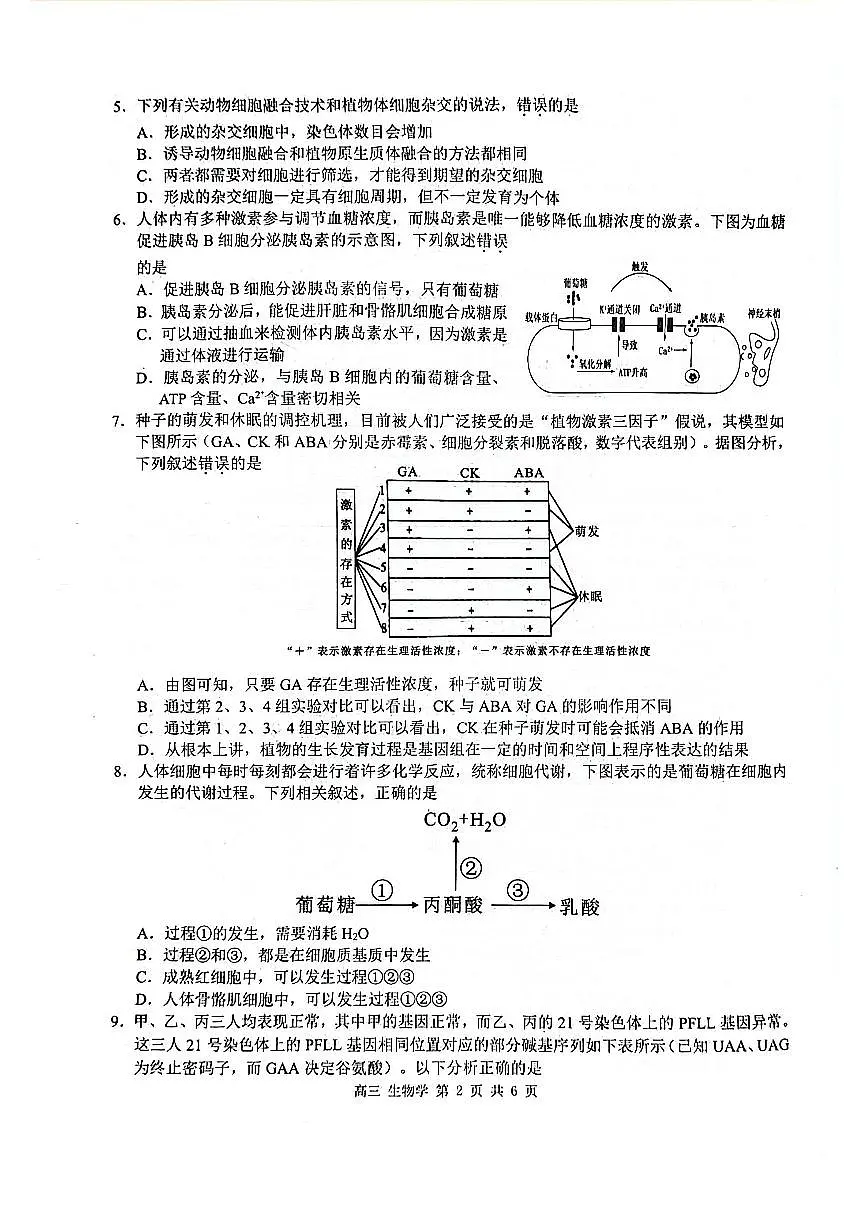 广西玉林市2025届高三上学期第一次教学质量监测 生物试卷（含答案）第2页