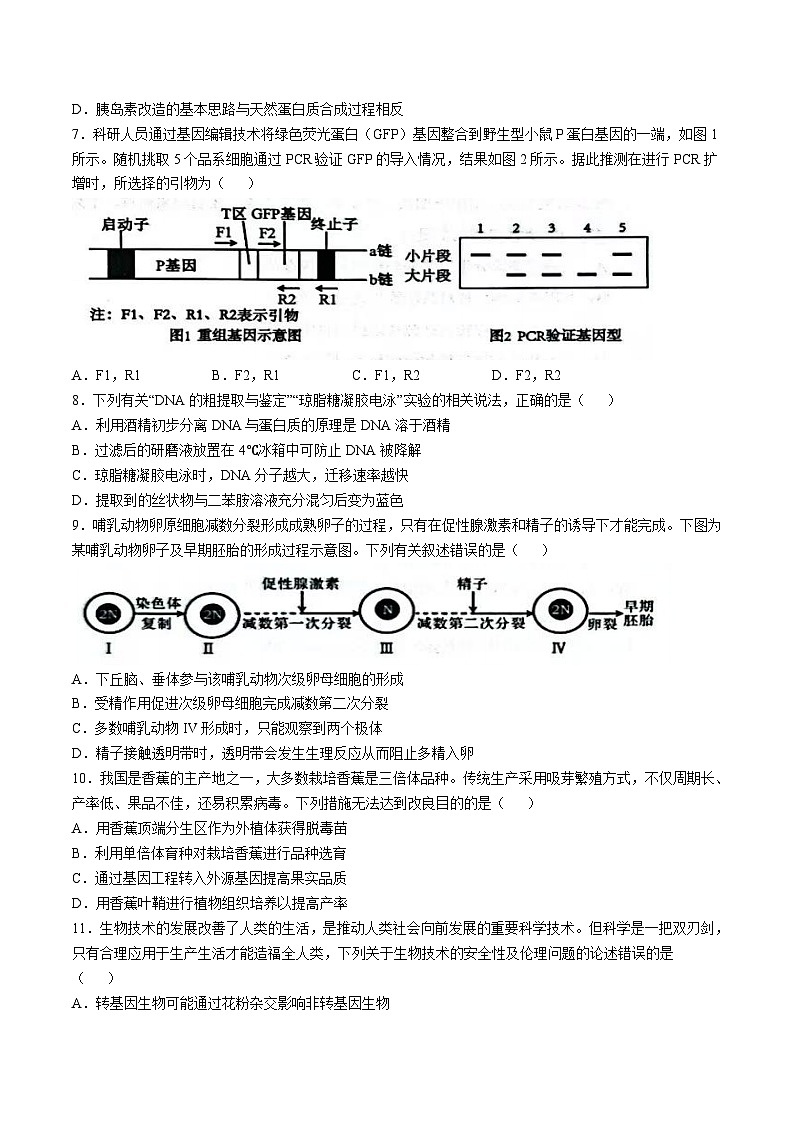 天津市部分区2024-2025学年高二下学期期中练习 生物  含答案第2页