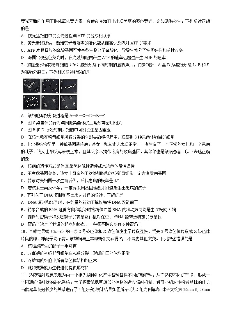安徽江淮十校2025届高三第二次联考生物试题（含答案）第3页