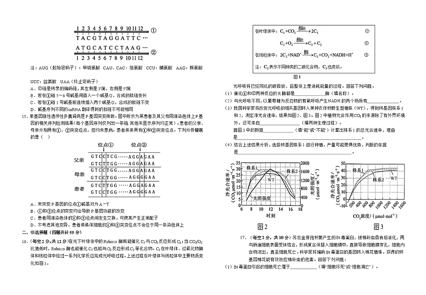 安徽省六安第一中学2024-2025学年高三上学期第三次月考（11月）生物试题（含答案）第3页