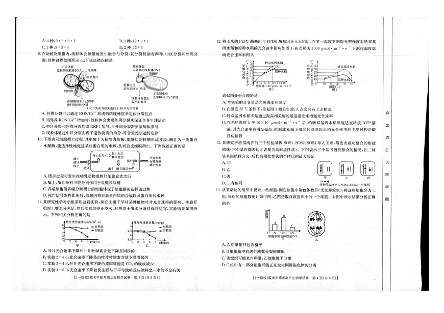 福建省龙岩市一级校联盟2024-2025学年高三上学期11月期中考试生物试题（含答案）第2页