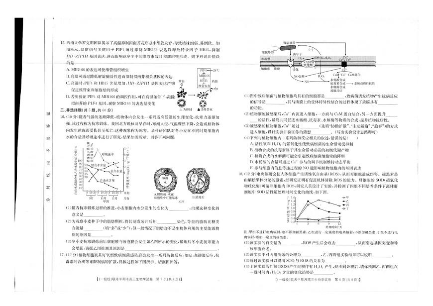 福建省龙岩市一级校联盟2024-2025学年高三上学期11月期中考试生物试题（含答案）第3页