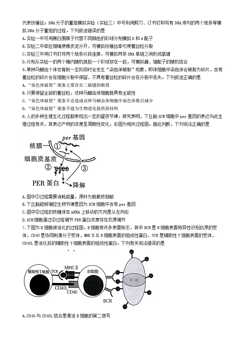 甘肃省白银市靖远县第一中学2024-2025学年高三上学期11月月考 生物试题（含答案）第2页