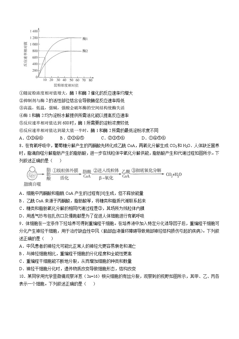 海南省部分学校2024-2025学年高三上学期11月期中考试 生物试题（含答案）第3页