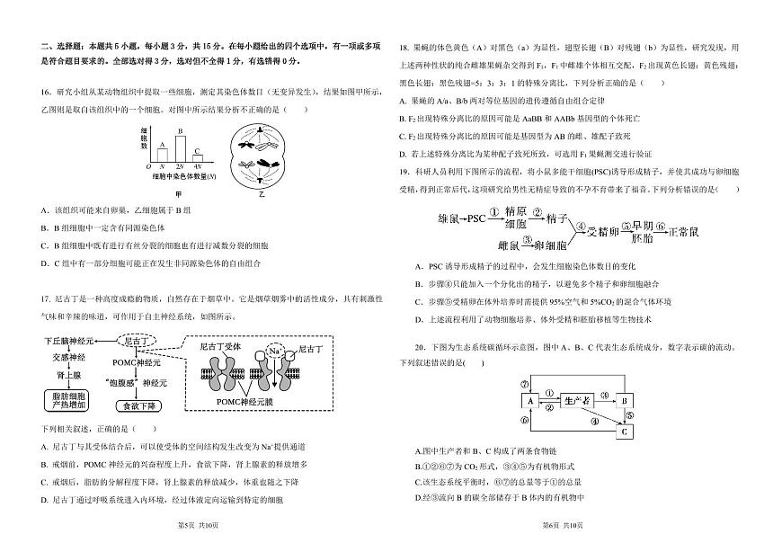 黑龙江省大庆市大庆中学2024-2025学年高三上学期10月期中考试 生物试卷（含答案）第3页