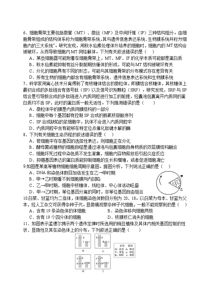 江苏省扬州中学2024-2025学年高三上学期10月月考试题 生物试卷（含答案）第2页
