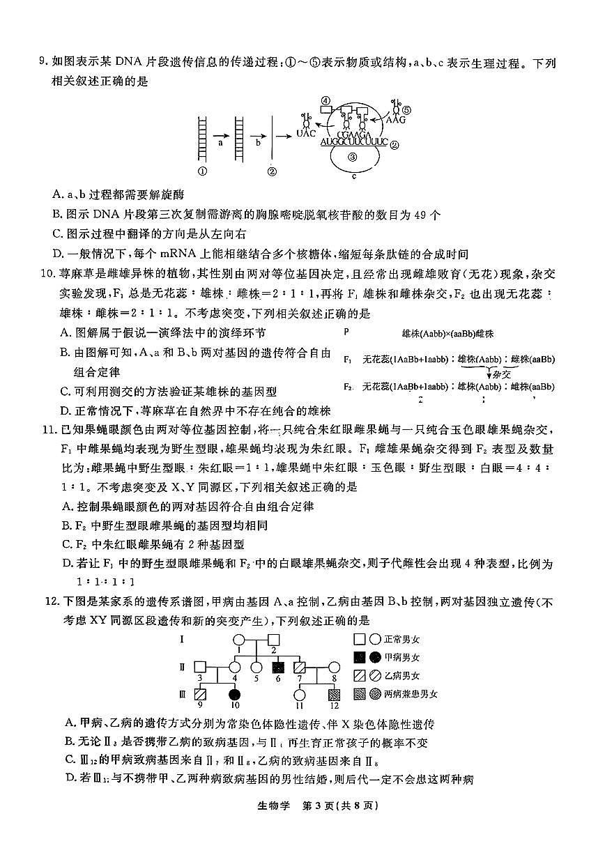 辽宁省名校联盟2024年高三10月份联合考试 生物试卷（含答案）第3页