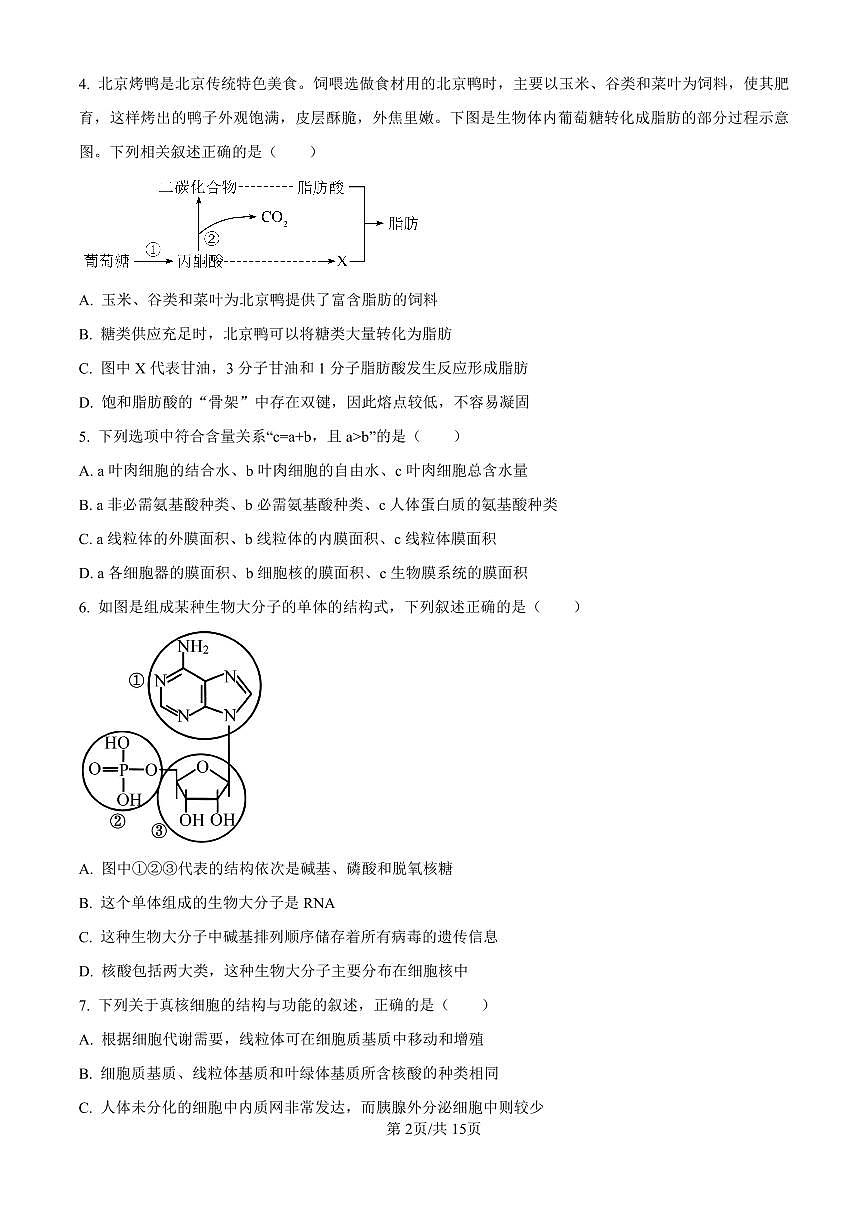 陕西省西安中学2024-2025学年高三上学期10月月考生物试卷（含答案）第2页