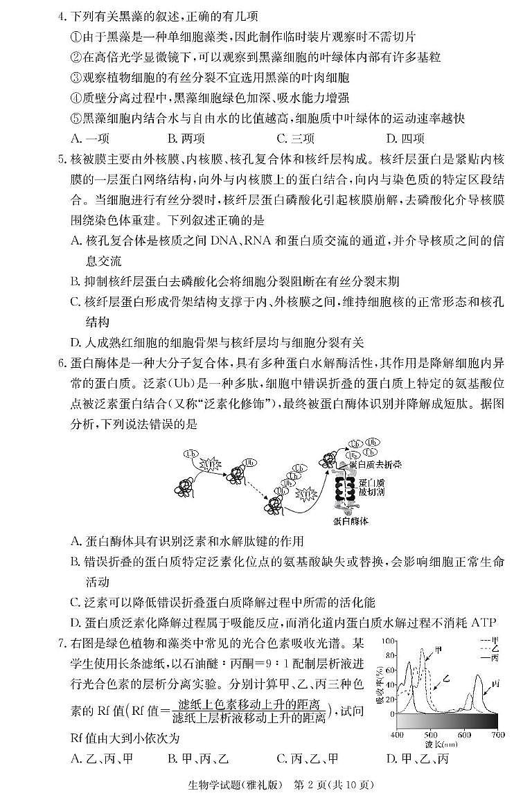 雅礼中学2025届高三月考试卷（二） 生物试卷（含答案）第2页