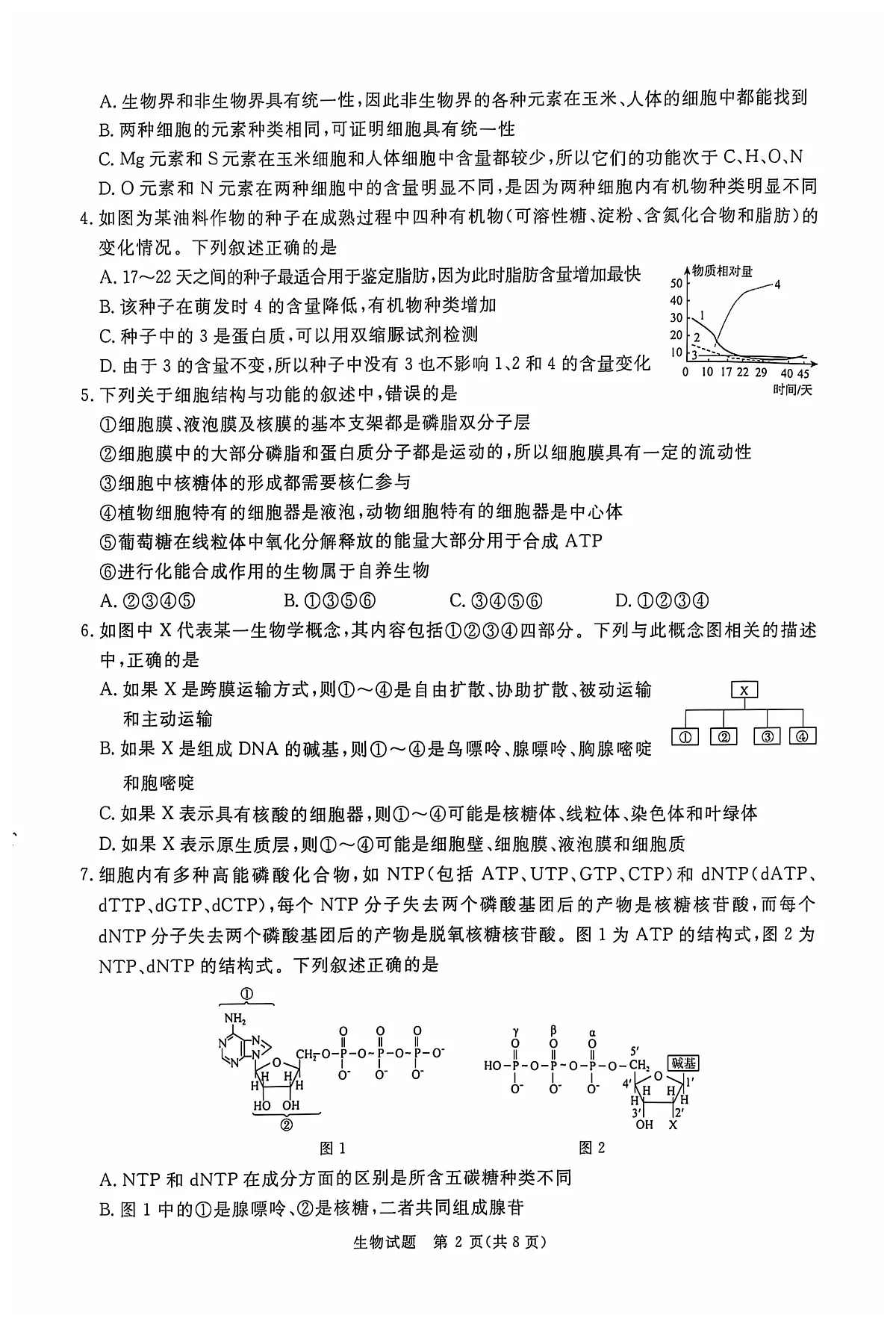 青桐鸣2025届高三10月大联考 生物试卷（含答案）第2页