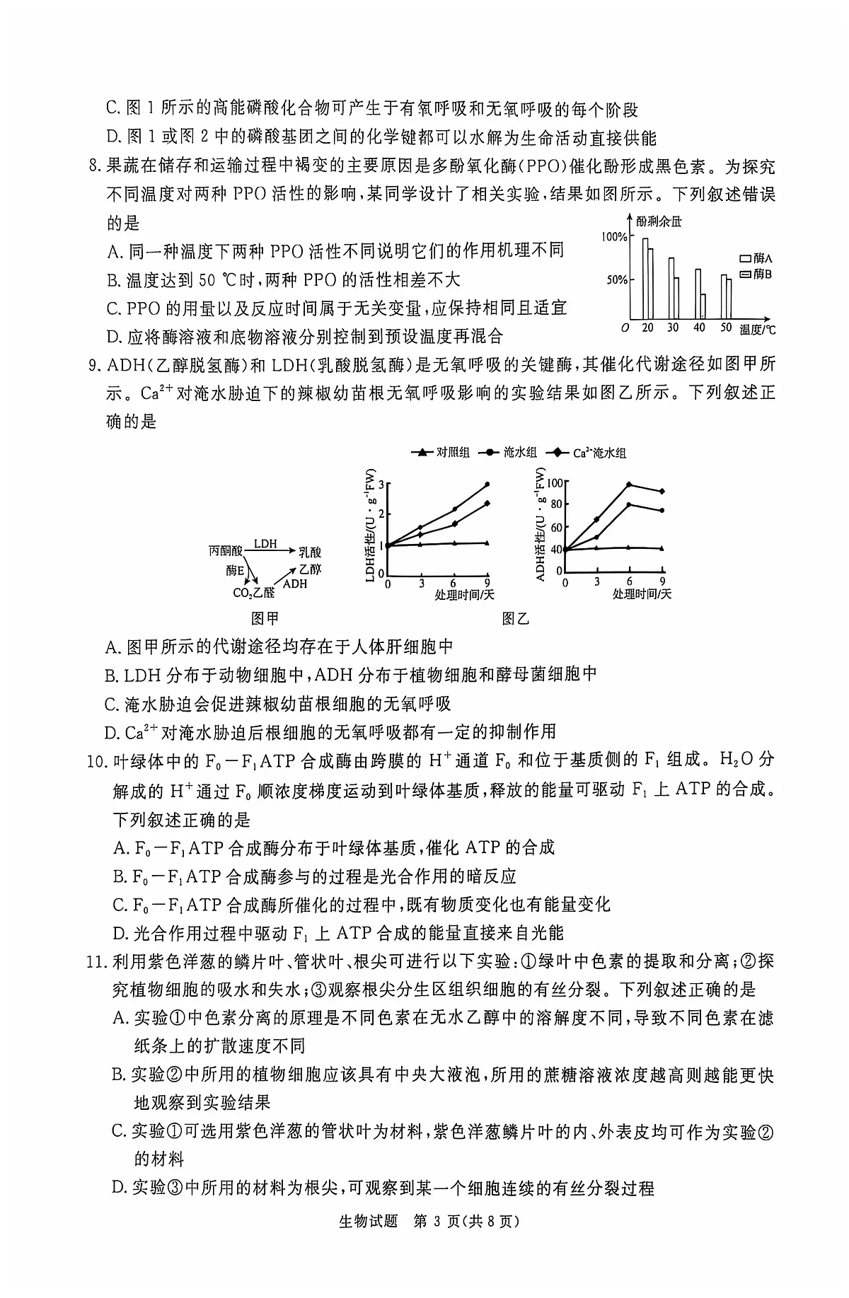 青桐鸣2025届高三10月大联考 生物试卷（含答案）第3页