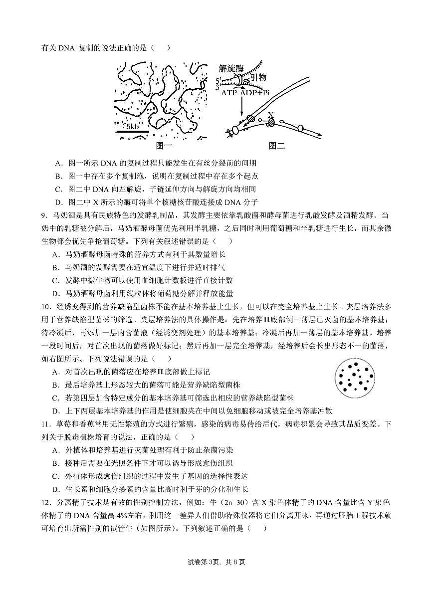 四川省成都市石室中学2024-2025学年高三上学期10月月考生物试卷（含答案）第3页